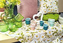 Fiori primaverili pieni di colori e profumi