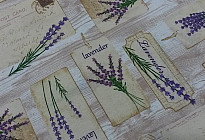 Provenza – amore per tutta la vita