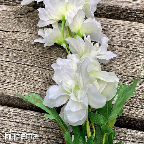 Delphinium bianco 79 cm