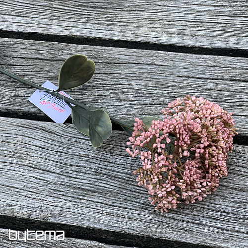 SEDUM SECCO IN PIENA FIORITURA 46 cm rosa antico