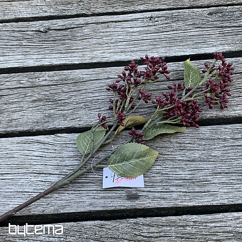 VIBURNUM TINUS SECCO 58 cm bordeaux