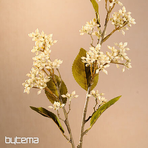VIBURNUM TINUS SECCO 58 cm bianco