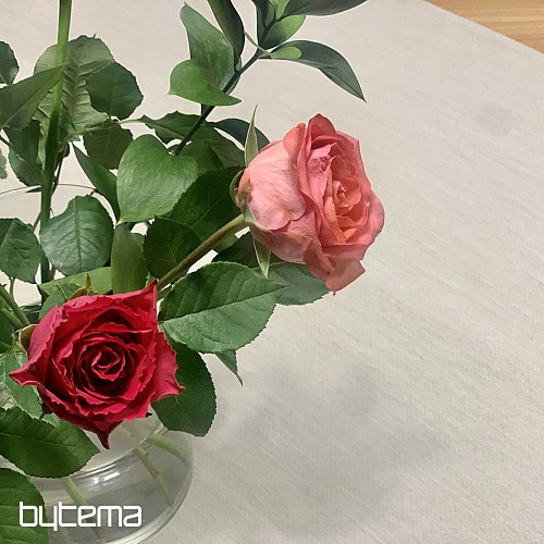 Tovaglia e sciarpa in arazzo NATUR