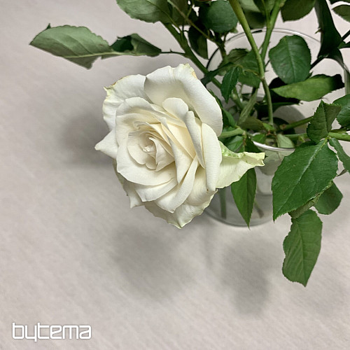 Tovaglia e sciarpa in arazzo NATUR