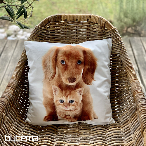 Federa CANE E GATTO