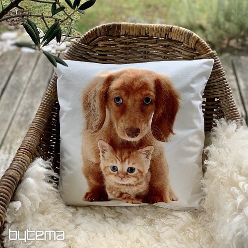Federa CANE E GATTO