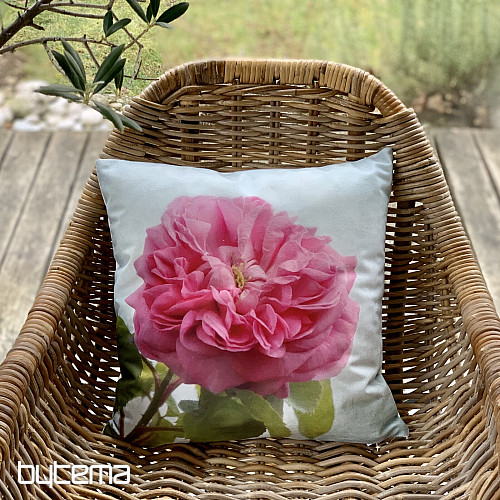 Federa ROSE CENTOPLE