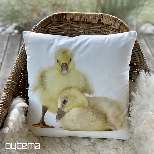 Federa decorativa GOOSE