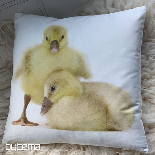 Federa decorativa GOOSE