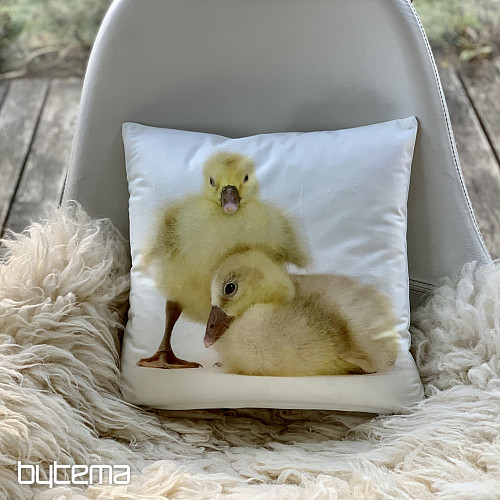 Federa decorativa GOOSE