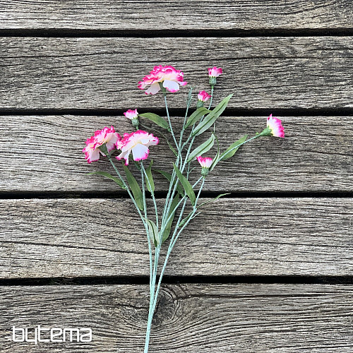 GAROFANO rosa e bianco