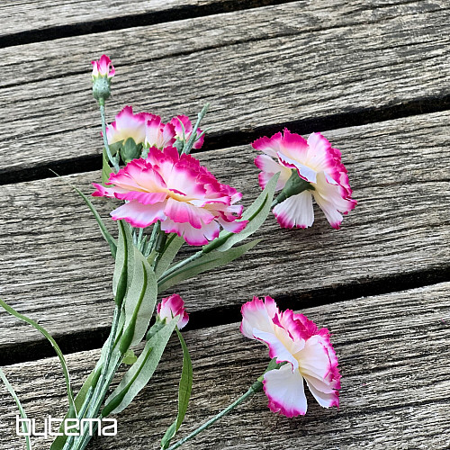 GAROFANO rosa e bianco