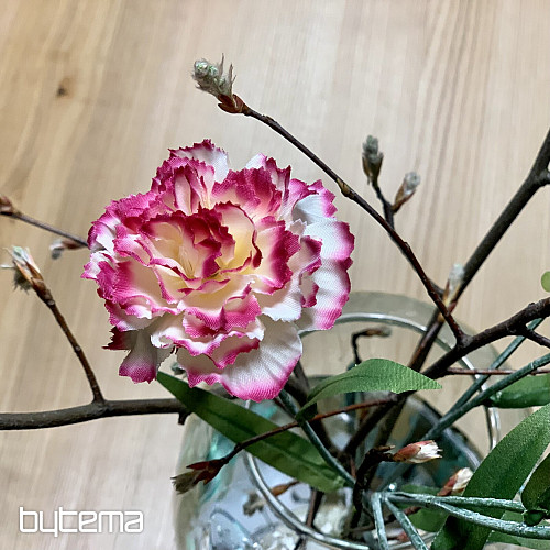 GAROFANO rosa e bianco