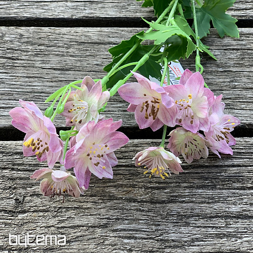 FIORE SELVATICO ROSA