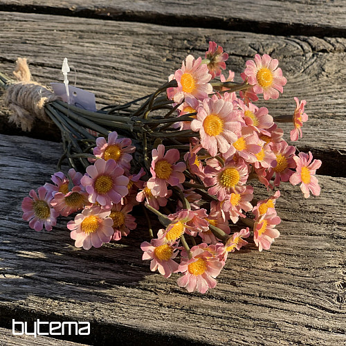 CAMOMILLA ROSA