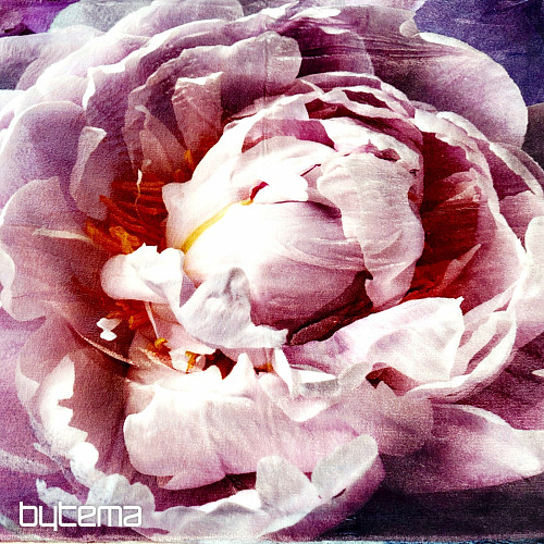 Biancheria da letto in microflanella PEONIA