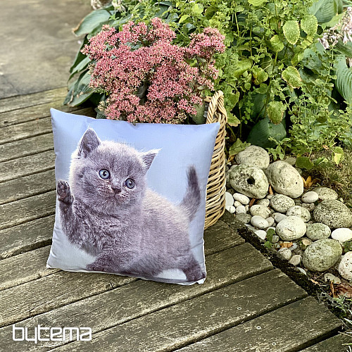 Copertura decorativa KITTY