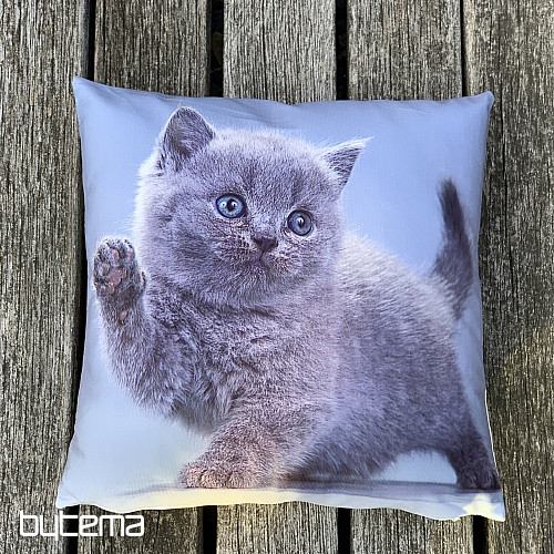 Copertura decorativa KITTY