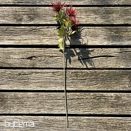 EGRETTO MARINO SELVATICO SECCO ROSSO