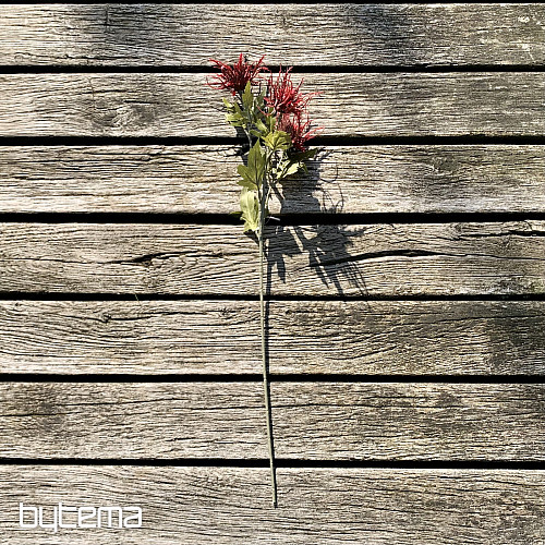 EGRETTO MARINO SELVATICO SECCO ROSSO