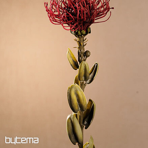 PICCOLA PROTEA SECCA ROSSA