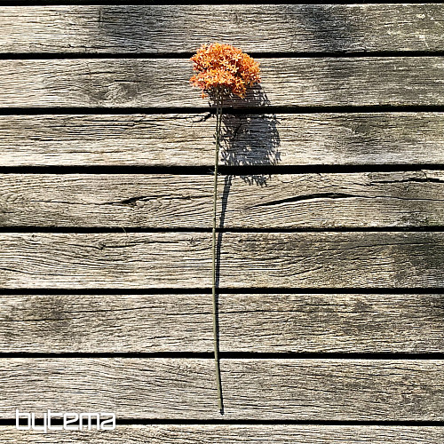 CORONA DI FIORI SECCHI ARANCIA