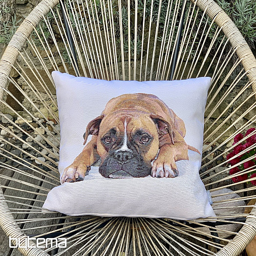 Federa per cuscino arazzo BOXER