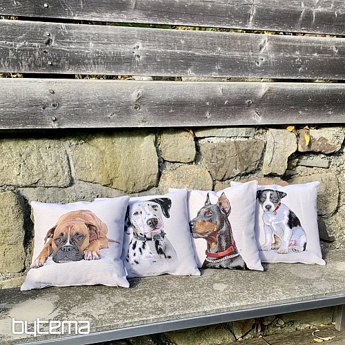 Federa per cuscino arazzo BOXER