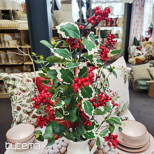 SPRAY DI BACCHE rosso