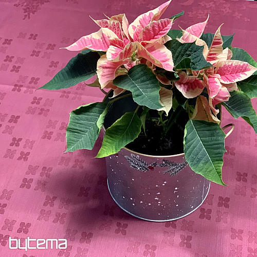 Tovaglia DAMASCO fiori bordeaux 120x140