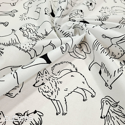 Materiale per pittura PSI