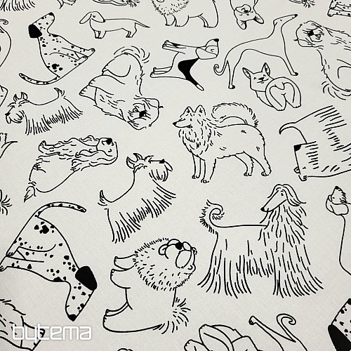 Materiale per pittura PSI