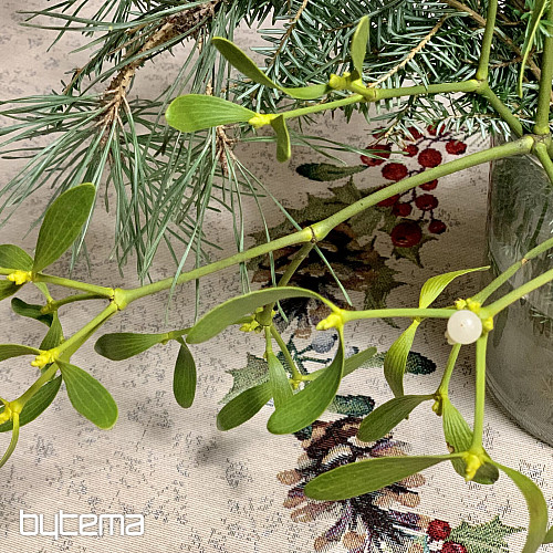 Tovaglia rotonda natalizia PINO PINO e VISCHIO