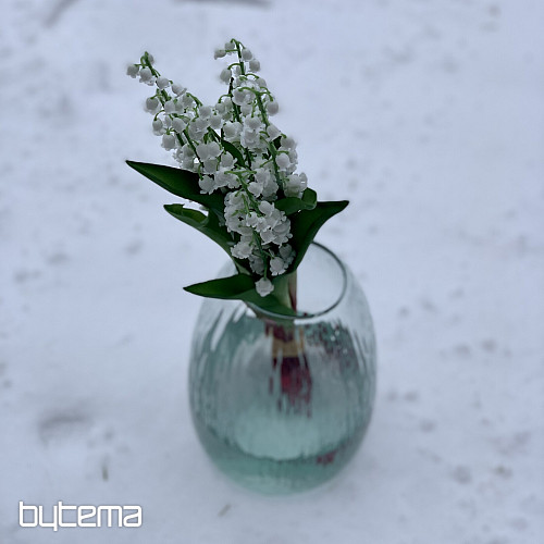 GIGLIO DELLA LUNGA VITA