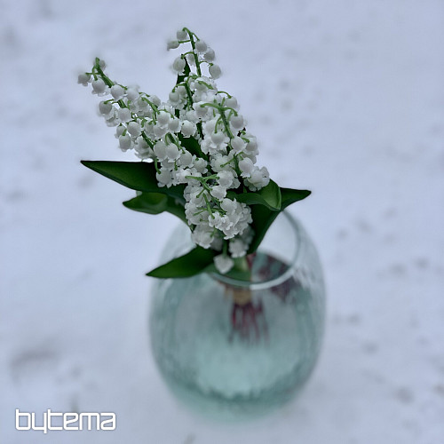 GIGLIO DELLA LUNGA VITA