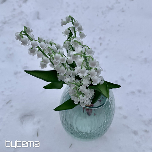 GIGLIO DELLA LUNGA VITA