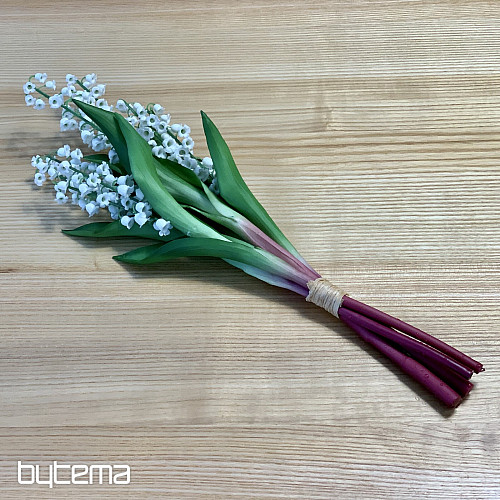 GIGLIO DELLA LUNGA VITA