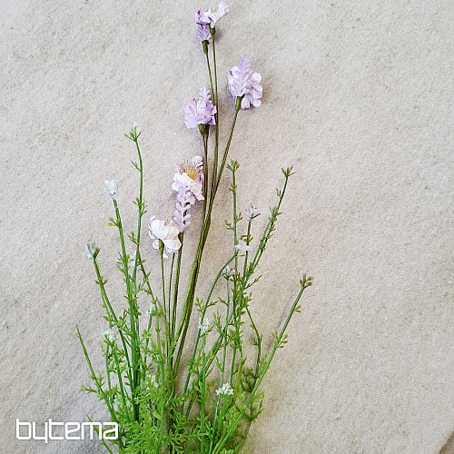 FIORI DI PRATO VIOLA