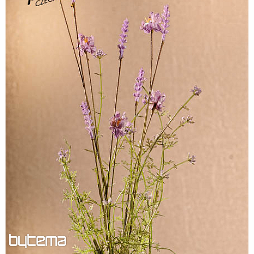 FIORI DI PRATO VIOLA