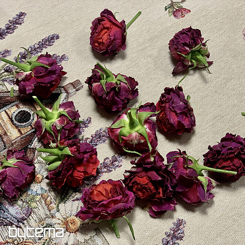 Tovaglia e sciarpa in arazzo BIRDHOUSE