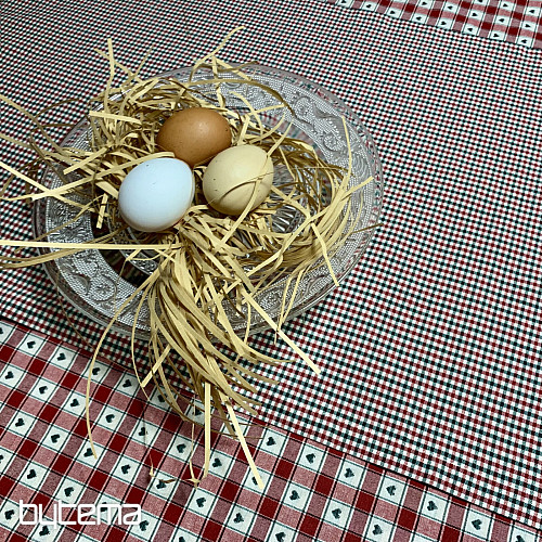 Tovaglia e sciarpa MAXI CORET rossa