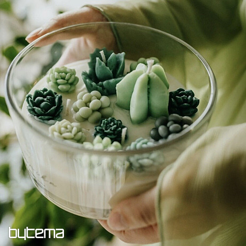 BOTANIKA candela profumata ai fiori con cactus