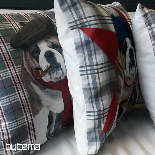 Federa decorativa HARRY THE BULLDOG 2