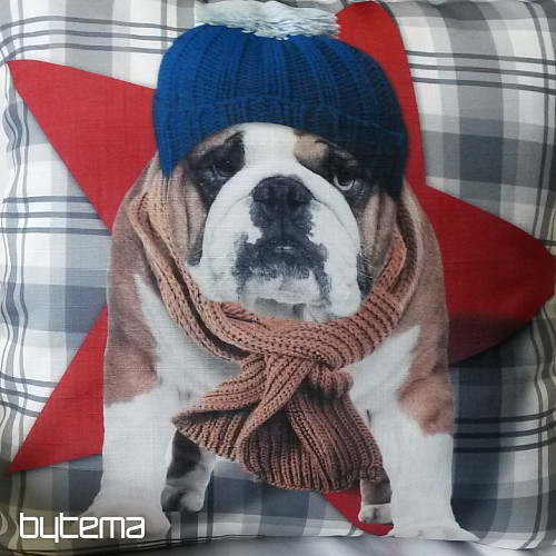 Federa decorativa HARRY THE BULLDOG 2