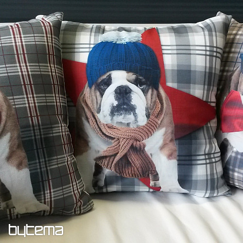Federa decorativa HARRY THE BULLDOG 2