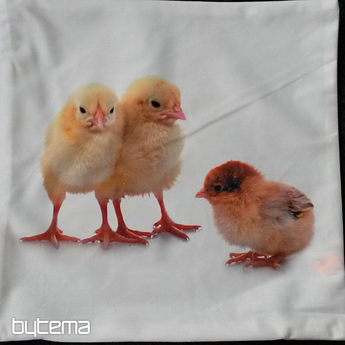 Federa decorativa POLLO