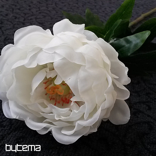 Peonia grande 67 cm