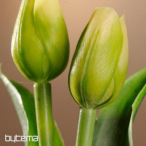 Mix di colori dei tulipani