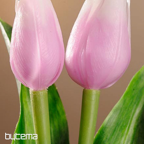 Mix di colori dei tulipani