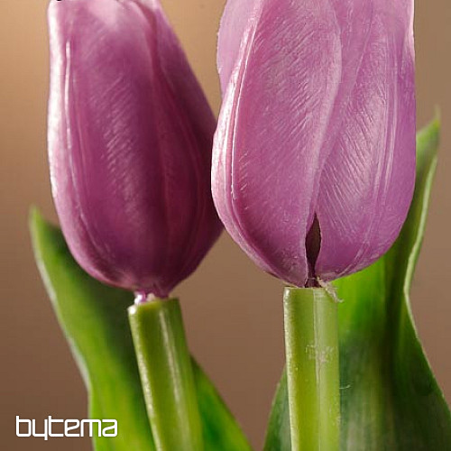 Mix di colori dei tulipani